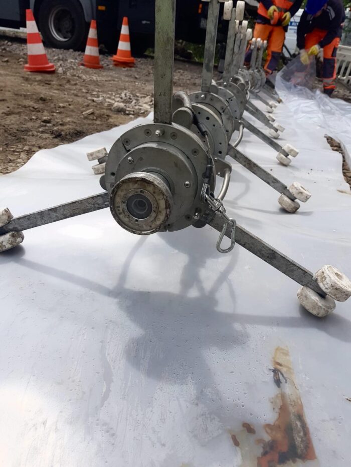 60307951_318611342414375_475396052954906624_n