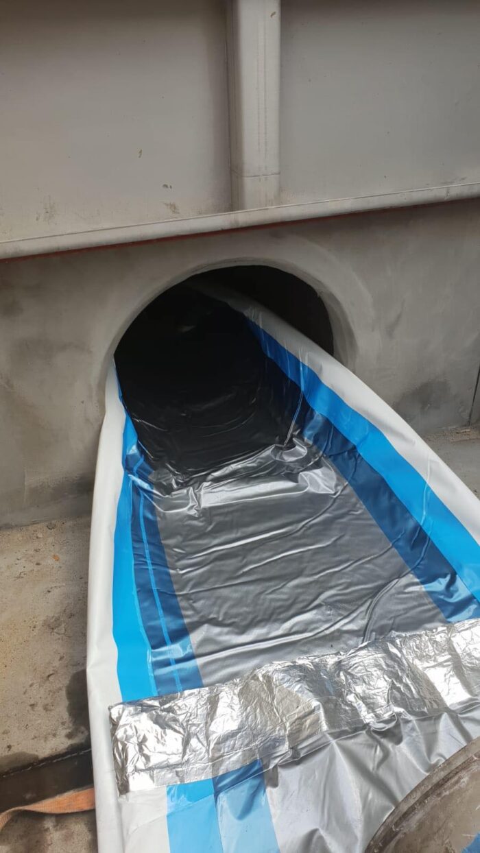 60353027_620540721798208_4352806679977394176_n