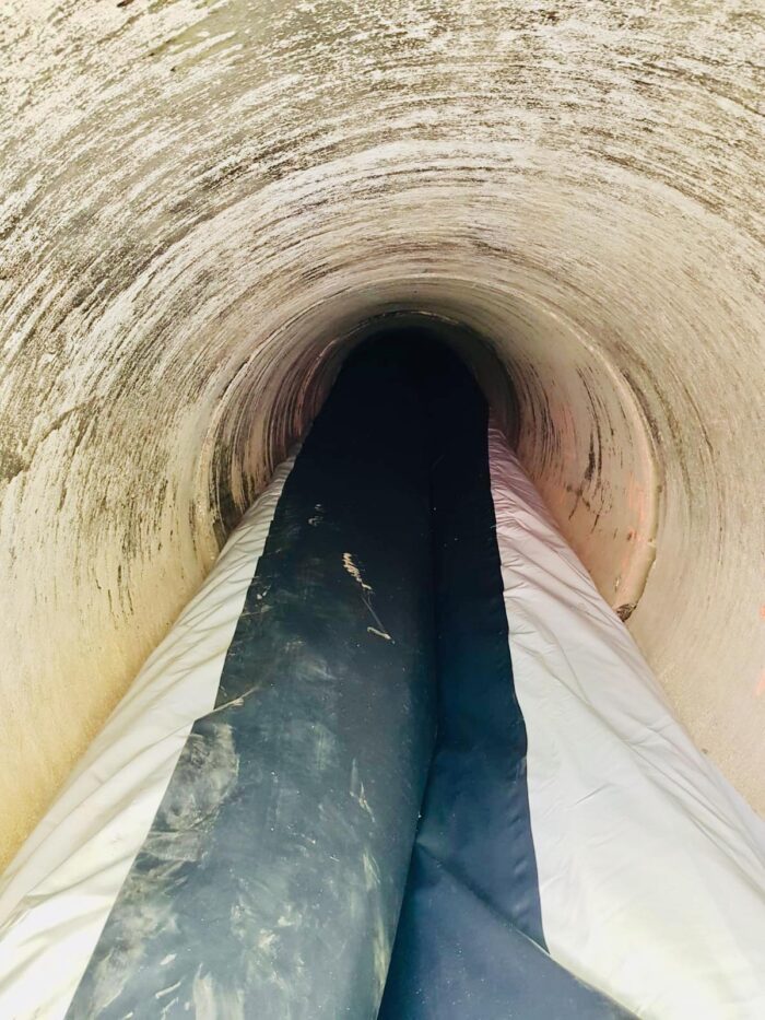 60628551_662538007515392_8136835982021361664_n